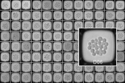 Galerie mit Bildern der Nanowells vor dem Picken im Zielplatten-Layout